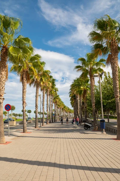 Valencia, İspanya: 14 Kasım 2022 'de Valencia' nın La Marina kentinde Paseo Martimo boyunca yürüyen insanlar.