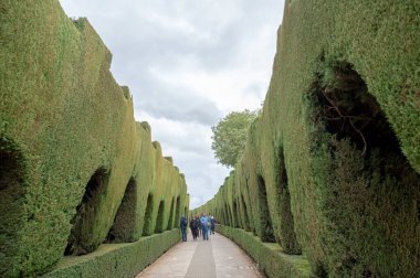 Granada, İspanya: 2022 Kasım: İspanya 'nın Granada kentindeki Alhambra Sarayı' nda 2022 yılında arka planda kar kaplı Sierra Nevada dağları bulunan insanlar