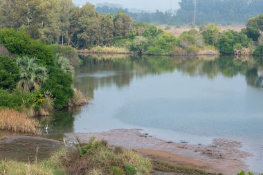 Uruguay 'ın başkenti Montevideo' daki Lecoq Zooloji Parkı 'nda göl..