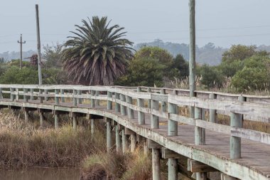 2023 yılında Uruguay 'ın başkenti Montevideo' da bulutlu bir günde Santa Lucia Nehri 'nin sulak alanlarındaki yaya köprüsü..