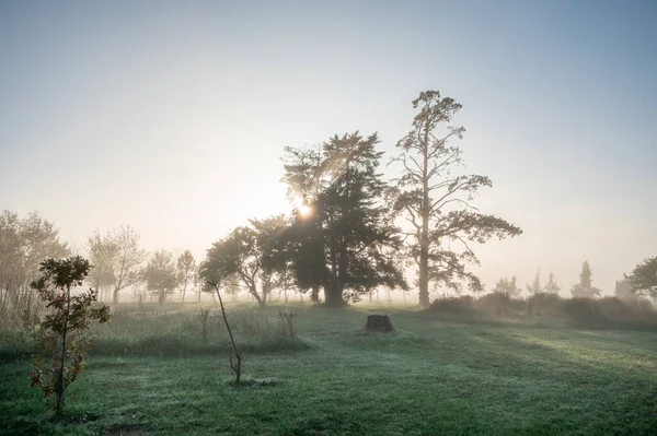 Sunny Sunrise Countryside Uruguay — Stock Photo, Image