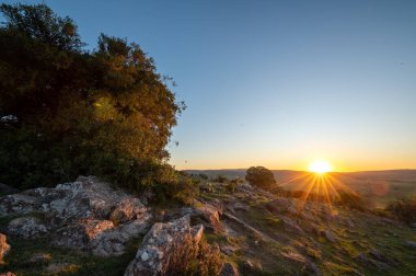 Uruguay kırsalında güneşli bir günde gün batımı.