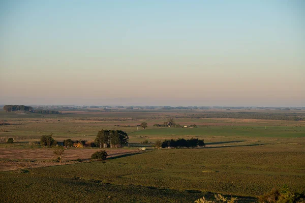 Sunset on sunny day in the countryside of Uruguay.