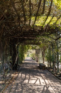 Montevideo 'daki El Prado Parkı, Uruguay' ın başkenti, ağaçlık bölge..
