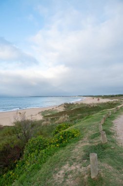 Uruguay 'ın La Pedrera kentindeki Playa del Barco' da gün batımı.