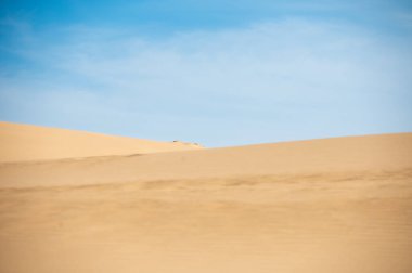 Uruguay 'daki Rocha Bölümü' ndeki Cabo Polonia Ulusal Parkı 'nın kumulları..