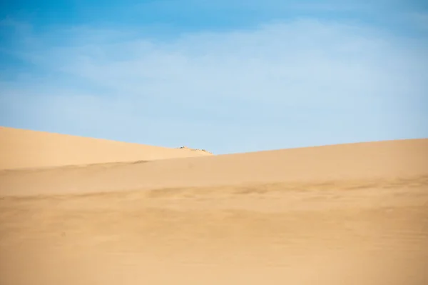 乌拉圭罗查省Cabo Polonia国家公园沙丘 — 图库照片