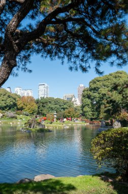 Buenos Aires, Arjantin: 13 Mayıs 2023 'te Arjantin' in başkenti Buenos Aires 'in Japon bahçesinde güneşli bir gün.