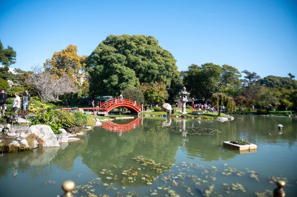 stock image Buenos Aires, Argentina : 2023 May 13 : Sunny Day in the Japanese Garden of the City of Buenos Aires, capital of Argentina in 2023.