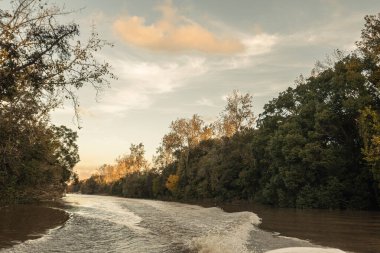 2023 'te Buenos Aires, Arjantin' deki Tigre Deltasında Lujan nehrinde öğleden sonra..