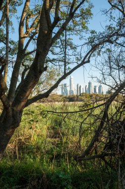 2023 yılında Arjantin Cumhuriyeti 'nin başkenti Buenos Aires' teki Costanera Sur Ekolojik Rezervi 'nde güneşli bir gün..