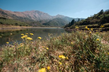 Jujuy, Arjantin 'deki Potrero de Yala İl Parkı' ndaki göllerin manzarası.