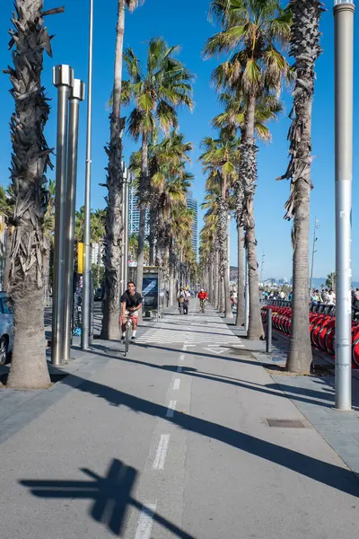 Barselona, İspanya: 19 Kasım 2023: 2023 'te İspanya' nın Katalonya başkenti La Barceloneta 'nın Barcelona plajındaki insanlar.