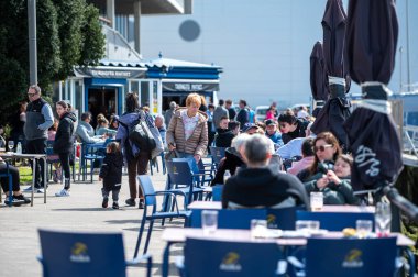 Pasaia, İspanya: 24 Mart 2024: Mart 2024 'te Guipuzcoa ilindeki Pasaia balıkçılık ve turizm kasabasındaki tipik evler.