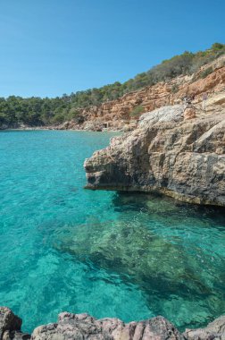 Yazın İbiza 'da Cala Saladeta' nın turkuaz suları.