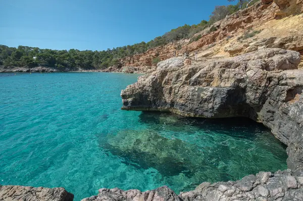 stock image Turquoise waters of Cala Saladeta in Ibiza in summer.