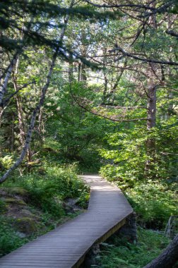Alt Aneu 'daki Gerber ya da Comen çağlayanlarına giden yol Sorpe Paseo, Catalunya için Pallars' la buluşacak..