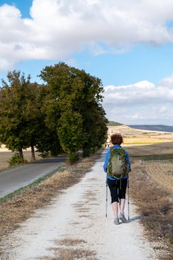 Castrojeriz, Spain: 2024 September 17: Pilgrims arriving in the city of Castrojeriz on the Camino de Santiago in 2024. clipart