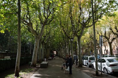 Olot, İspanya: 30 Ekim 2024: Placa Escultor Josep Claro Katalan Olot şehrinde Panorama