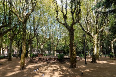 Olot, İspanya: 30 Ekim 2024: Placa Escultor Josep Claro Katalan Olot şehrinde Ekim 2024 'te köşe