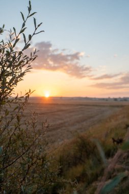 2024 'te Camino de Santiago' daki Carrion de los Condes sahnesinde gün ışığı..