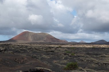 Volkanik manzara, La Geria, Lanzarote, Kanarya Adaları, İspanya, Avrupa. Volkanik manzaradaki şarap alanı volkan manzaralı..