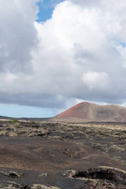 Volkanik manzara, La Geria, Lanzarote, Kanarya Adaları, İspanya, Avrupa. Volkanik manzaradaki şarap alanı volkan manzaralı..