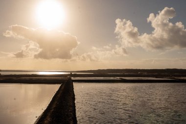 2024 yılında İspanya 'nın Lazarote adasında Salinas de Janubio.