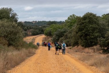 2024 'te Camino de Santiago' daki Hospital de rbigo 'daki Rbigo Paso Honroso Köprüsü' nde seyyahlar..