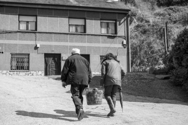 İki kişi Camino de Santiago 'da Molinaseca' dan Leon 'a sebze topluyor..