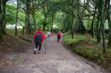 Furelos, İspanya: 3 Ekim 2024: Galiçya, İspanya 'da St. James' in Fransız Yolu 'ndaki hacılar.