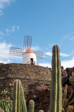 Lanzarote, İspanya: 15 Ekim 2024: Manrique tarafından İspanya 'nın Lanzarote adasında Kaktüs Bahçesi' nde turistler kuruldu..