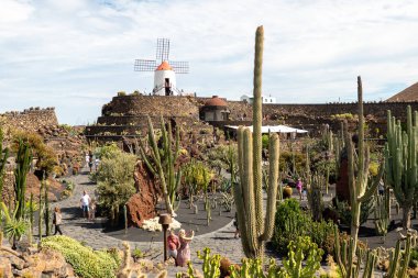 Lanzarote, İspanya: 15 Ekim 2024: Manrique tarafından İspanya 'nın Lanzarote adasında Kaktüs Bahçesi' nde turistler kuruldu..
