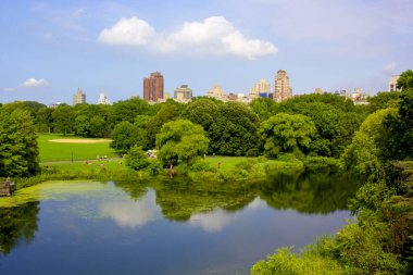New York 'taki Central Park' ta güzel bir manzara.