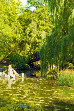 Wroclaw, Polonya 'daki güzel Japon bahçesi manzarası