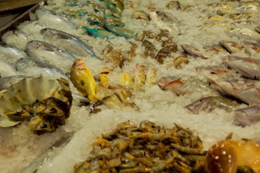 Hurgada 'daki balık pazarı, Mısır