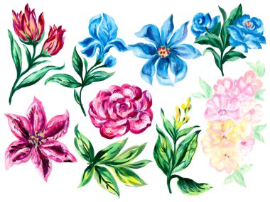 Suluboya ögesi Çiçekler Botanik yaprak dalı Soyut biçim beyaz arkaplan üzerinde izole