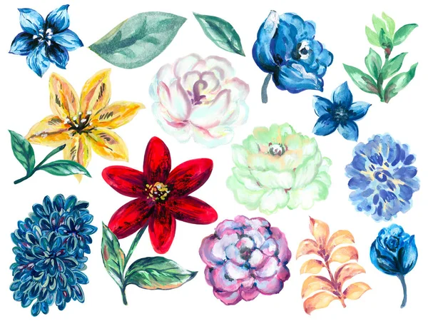 Akvarell Virágok Botanikus Lombozat Absztrakt Stílus Elszigetelt Fehér Háttér — Stock Fotó