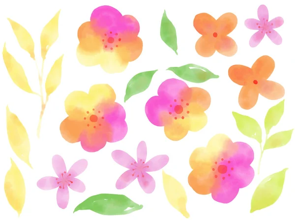 Akwarela Ręcznie Rysowane Kolorowe Śliwki Lub Kwiat Moreli Różowy Kwiat — Zdjęcie stockowe