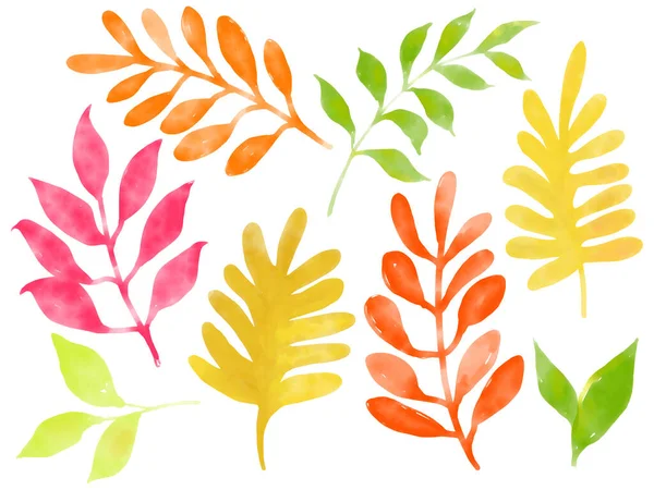 Akvarel Podzim Listí Uspořádání Ornament Ručně Kreslené Ilustrační Prvek Izolované — Stock fotografie