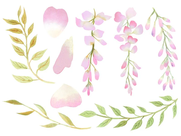 色彩艳丽的水彩艳丽的紫藤花蕾花瓣图片说明粉红蓝紫色花束花瓣东方园林元素的白色背景 — 图库照片