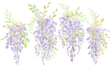 Wisteria flower, save the date invitation or greeting card. Hand drawn watercolor, illustration isolated on white background clipart