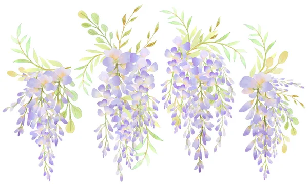 Vistárijská Květinko Schovej Pozvánku Nebo Přání Pozdrav Ručně Kreslené Akvarel — Stock fotografie