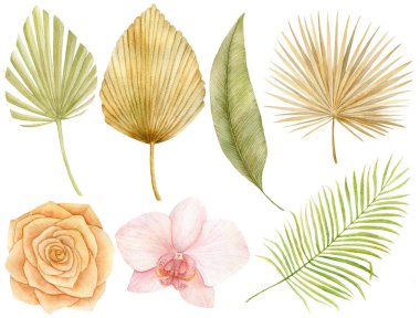 Luxurious beige and brown trendy design banner frame. Pastel Orchid and Rose flower plants banana palm leaf Watercolor illustration Wedding card decoration. Elements isolated on white