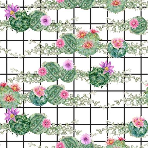 Succulents Cactus Plants Seamless Background Template Flowers Bouquet Botanical Illustration — Stock Photo, Image