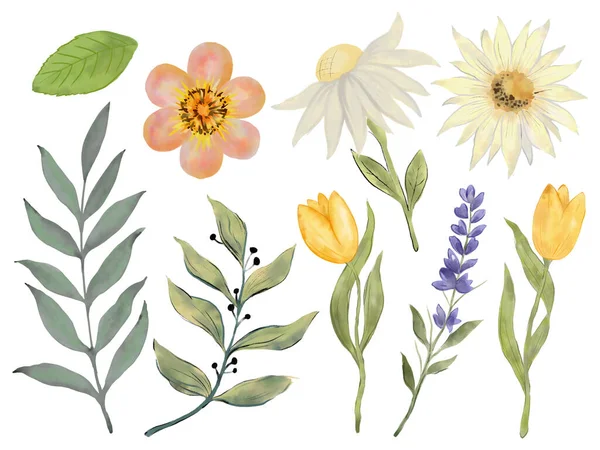 Akvarel Velikonoce Divoké Pole Botanické Listí Uspořádání Ornament Ručně Kreslené — Stock fotografie