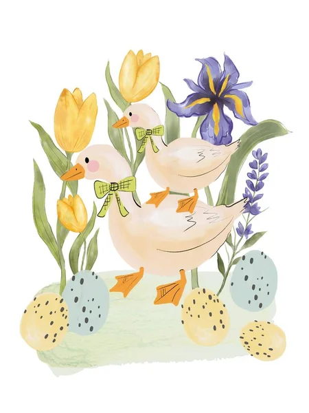 Tuin Botanische Tulp Festival Familie Eend Schattig Jaagt Aquarel Illustratie — Stockfoto