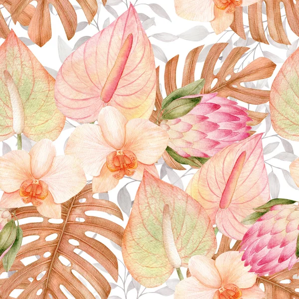 Акварельний Тропічний Кліпарт Листям Антуріумною Орхідеєю Квіткою Білків Сухою Флорою — стокове фото