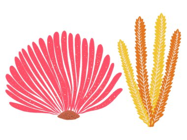 Mercan resifi bitkileri renkli doğa çizimleri beyaz arkaplanda izole edilmiş karalama elementleri