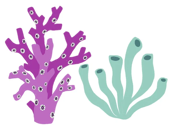 Coral Reef Piante Colorate Natura Illustrazione Doodle Elementi Isolati Sfondo — Foto Stock